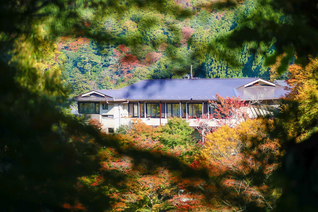 모미지야 혼칸 타카오 산수 료칸: 교토 산속에서 즐기는 가이세키와 노천탕 휴식